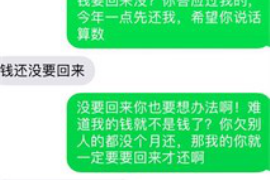 格尔木为什么选择专业追讨公司来处理您的债务纠纷？